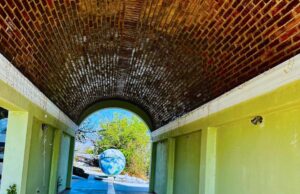 Dirección General de Fomento Económico invita a conocer el Trópico de Cáncer en Santiago