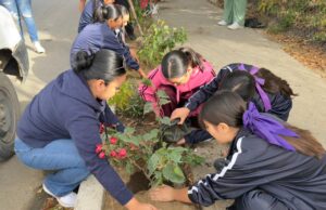 Jornada de Reforestación en Miraflores fortalece la participación comunitaria y el cuidado del medio ambiente