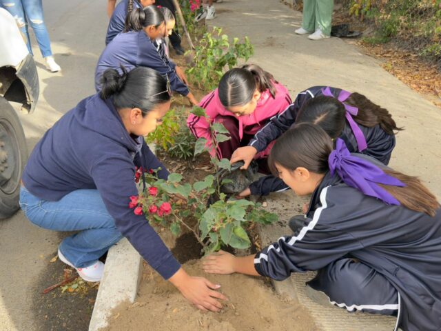 JORNADA REFORESTACIÓN MIRAFLORES 4