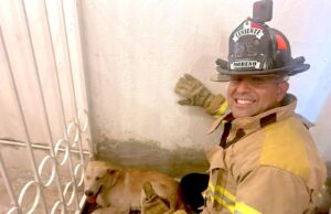 Bomberos de Cabo San Lucas atendió 444 emergencias durante enero 2026