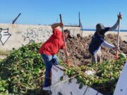 Avanza Plan de Regeneración del Estero de San José del Cabo con acciones ambientales integrales