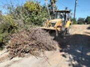 Retira Servicios Públicos 982 toneladas de residuos en la comunidad de La Playa