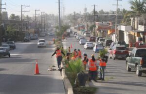 Servicios Públicos informa resultados de la segunda jornada del Programa de Empleo Temporal en Los Cabos