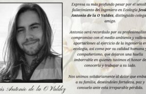 Identifican a cuarto minero desaparecido en Concordia, Sinaloa