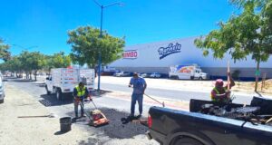 Atiende “Caza Baches” afectaciones en bulevar del fraccionamiento Costa Dorada, en San José del Cabo