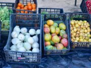 Entregan más de 100 carteras de huevo y 460 kg de alimentos en jornada social en Cabo San Lucas