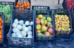 Entregan más de 100 carteras de huevo y 460 kg de alimentos en jornada social en Cabo San Lucas