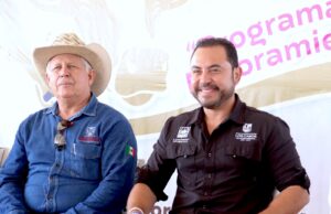 Entrega Ayuntamiento de Los Cabos 115 sementales bovinos; apoyan ganadería local