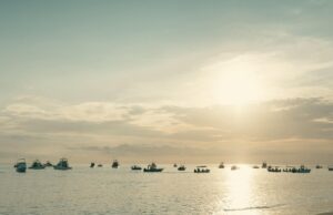 Mañana domingo se realizará la Quinta Edición de la “Copa Presidente” Torneo de Pesca Deportiva