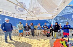 Realizan simulacro de atención a ballenas enmalladas en playa El Corsario