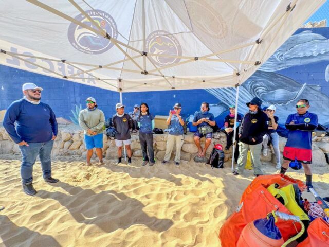 ZOFEMAT SIMULACRO ATENCIÓN BALLENA ENMALLADA PLAYA EL CORSARIO 2