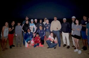 Liberan 23 crías de tortugas laúd como parte de estrategia ambiental en Los Cabos