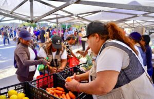 Más de 3 mil personas beneficiadas con Jornadas Sociales en Cabo San Lucas