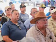 Beneficia alcalde de Los Cabos Christian Agúndez a 150 productores agrícolas y ganaderos con entrega de alfalfa y alimento concentrado