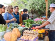 Impulso al comercio local: más de 160 productores y artesanos fortalecen la economía de Los Cabos