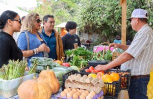 Impulso al comercio local: más de 160 productores y artesanos fortalecen la economía de Los Cabos