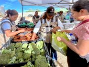 Realizan Jornada Social en colonia El Taste; acercan apoyos y servicios a familias