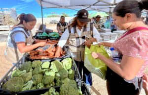 Realizan Jornada Social en colonia El Taste; acercan apoyos y servicios a familias