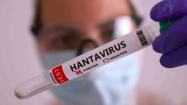 hantavirus-mexico-brote-ana-laura-vigueras-especialista-unam-veterinaria