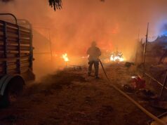 Atiende Bomberos de San José del Cabo 302 emergencias durante mayo