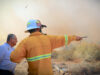 Tras mas de 6 horas de trabajos, Bomberos de San José del Cabo controlan incendio en palmares de Santa Rosa
