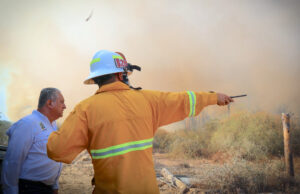 Tras mas de 6 horas de trabajos, Bomberos de San José del Cabo controlan incendio en palmares de Santa Rosa