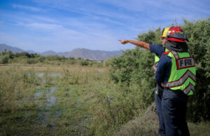 Mantienen vigilancia en el Estero de San José del Cabo para prevenir incendios y proteger el ecosistema