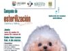 Instituto de Salud Municipal realiza jornada gratuita de esterilización canina y felina en Cabo San Lucas
