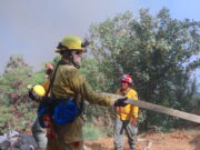 Sin interrupciones continúan labores para la extinción total del incendio en El Palmar en Santa Rosa