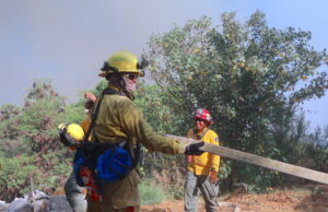 Sin interrupciones continúan labores para la extinción total del incendio en El Palmar en Santa Rosa