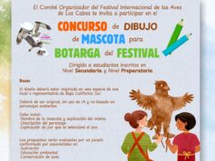 Lanzan convocatoria en Los Cabos para elegir a la mascota oficial del Festival Internacional de las Aves