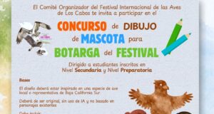 Lanzan convocatoria en Los Cabos para elegir a la mascota oficial del Festival Internacional de las Aves