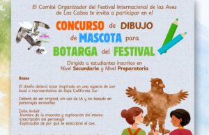 Lanzan convocatoria en Los Cabos para elegir a la mascota oficial del Festival Internacional de las Aves