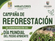 Invitan a jornada de reforestación en Miraflores por el Día Mundial del Medio Ambiente