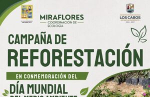 Invitan a jornada de reforestación en Miraflores por el Día Mundial del Medio Ambiente