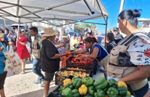 Con jornada social el Gobierno de Los Cabos acerca apoyos y servicios a familias de la colonia Valle del Cabo Bajo