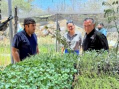 Autoridades municipales visitan a beneficiarios de vivienda y apoyos rurales en Miraflores