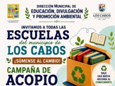 Invitan a escuelas de Los Cabos a participar en campaña de acopio de libros para reciclar