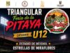 Fiesta de la Pitaya 2026 ofrecerá cartelera artística y torneos deportivos