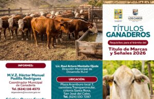 Gobierno de Los Cabos informa requisitos para trámites de títulos ganaderos 2026