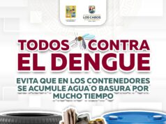 Llaman a familias de Los Cabos a eliminar criaderos de mosquitos para prevenir el dengue