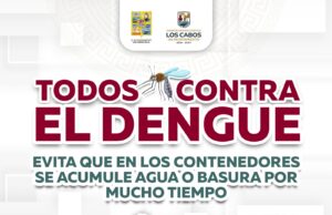 Llaman a familias de Los Cabos a eliminar criaderos de mosquitos para prevenir el dengue