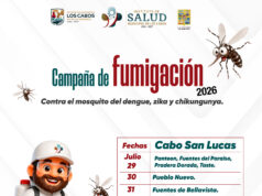 Continúan jornadas de fumigación en colonias de Cabo San Lucas