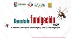 Continúan jornadas de fumigación en colonias de Cabo San Lucas
