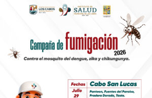 Continúan jornadas de fumigación en colonias de Cabo San Lucas