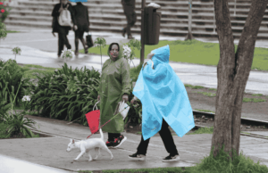 Lluvia en los 32 estados por nueva onda tropical y monzón mexicano; dónde lloverá más fuerte este sábado