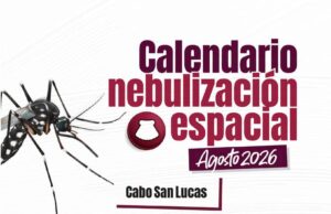 Continúa fumigación contra el mosquito del dengue en colonias de Cabo San Lucas