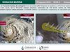 Huracán Karina se mantiene alejado de Los Cabos y sin efectos para el territorio nacional