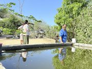 Refuerzan en Miraflores acciones para prevenir criaderos de mosquitos