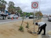 Tránsito Municipal instala señalización y rehabilita cruces peatonales en Los Cabos